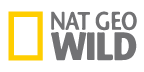 Nat Geo Wild